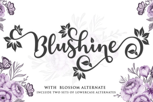 Blushine Script: A Fresh Take on Classic Elegance