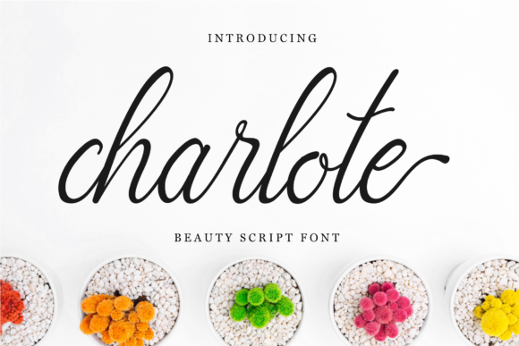 Charlote Script: A Versatile Asset for Your Design Toolkit